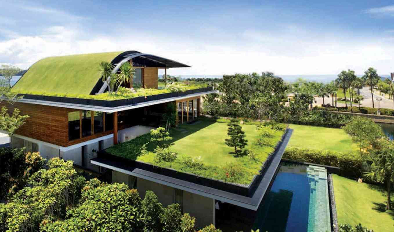 Living Roofs 