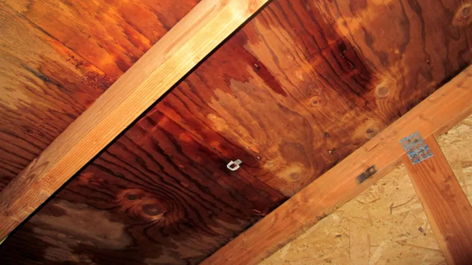 Signs Your Roof Might Be Leaking