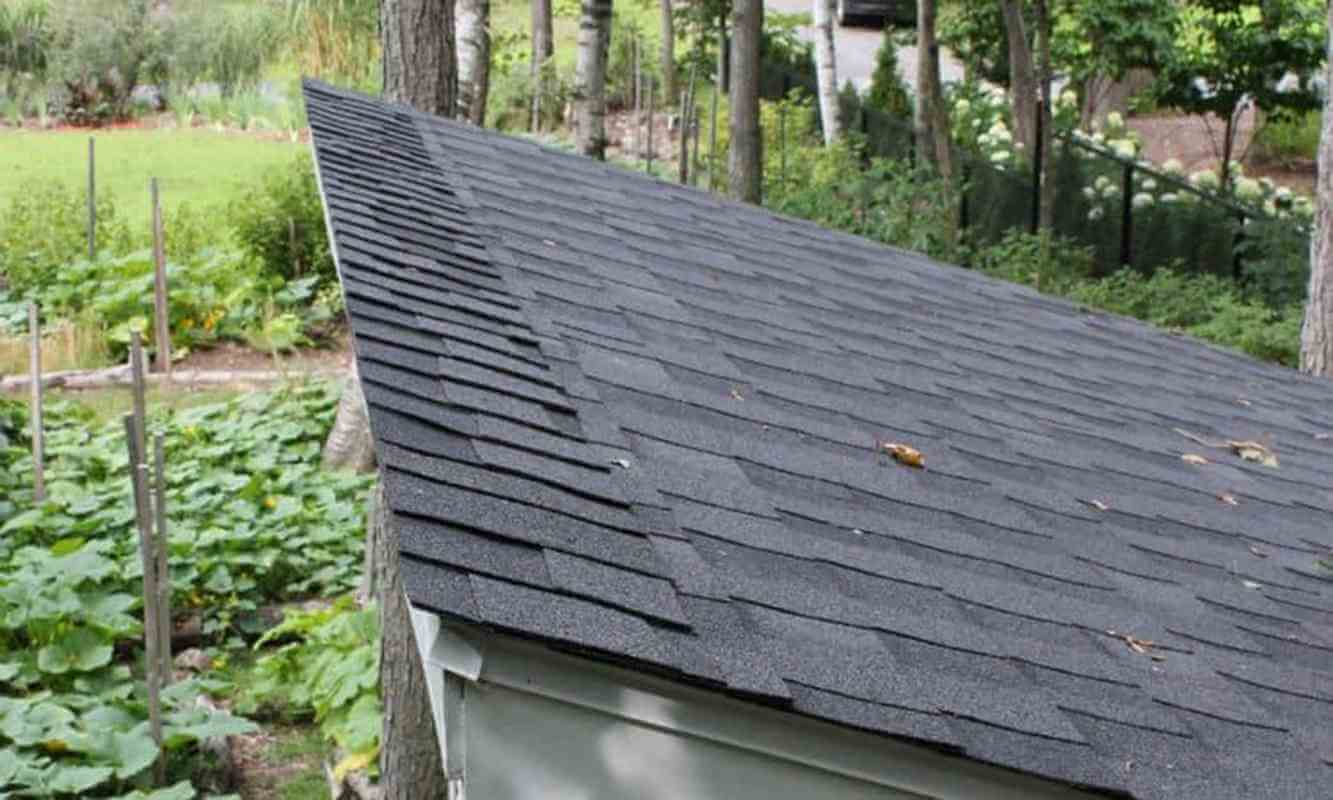 How to Roof a Shed