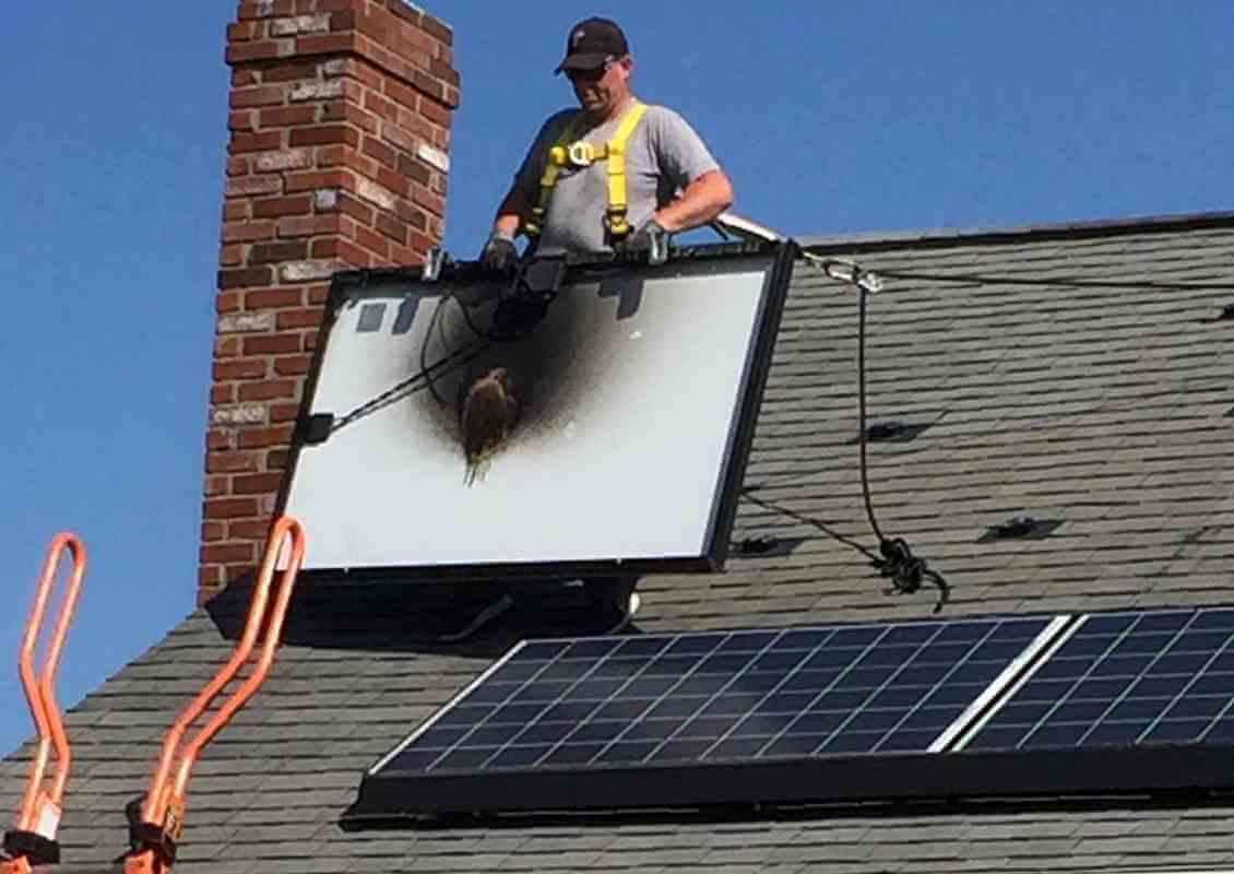 Tesla Solar Roof Lawsuit
